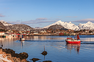 0404_hav og fiske_Harry D_ScanStockPhoto_4118085.jpg