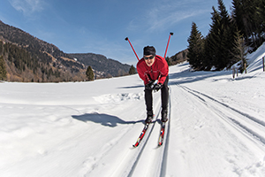 0502_Cross-country skiing_Lukas Gojda_shutterstock_230952829.jpg