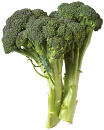 broccoli-l.jpg