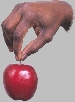 4-eple.jpg