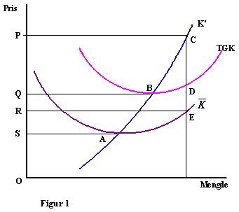 mikro07.jpg