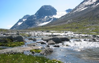 fjellnatur.jpg