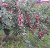 7-epler.jpg