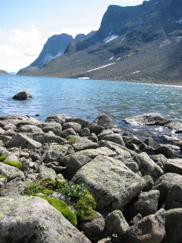 jotunheimen_4.jpg