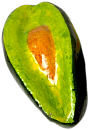 avocado-l.jpg