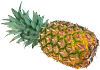 ananas.jpg